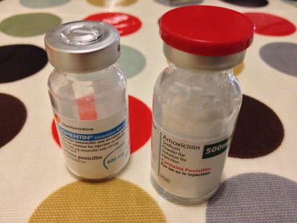 Antibiotics surf trip