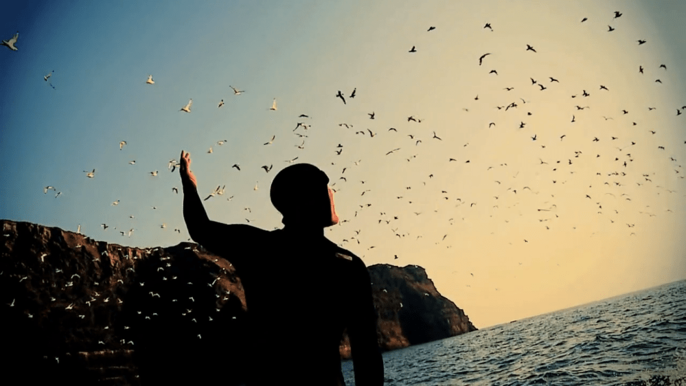 mickey smith interview